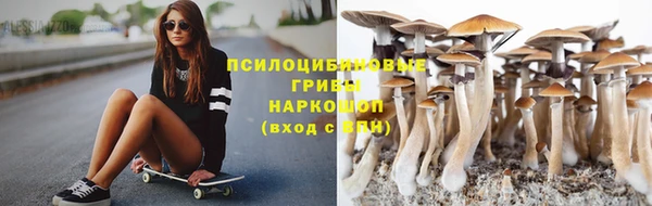прущие грибы Волосово