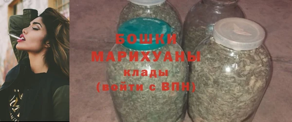 прущие грибы Волосово
