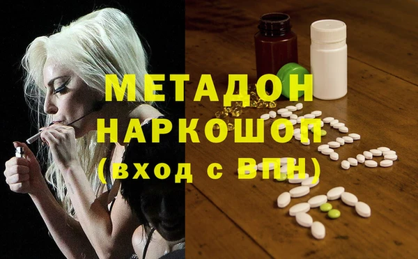 прущие грибы Волосово