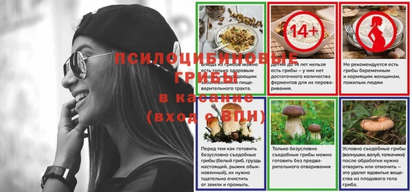 молекула духа Волоколамск