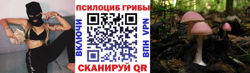 Галлюциногенные грибы мухоморы  Купить где  Красноуральск 