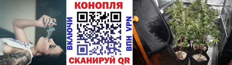 Канабис White Widow  Купить где  Красноуральск 